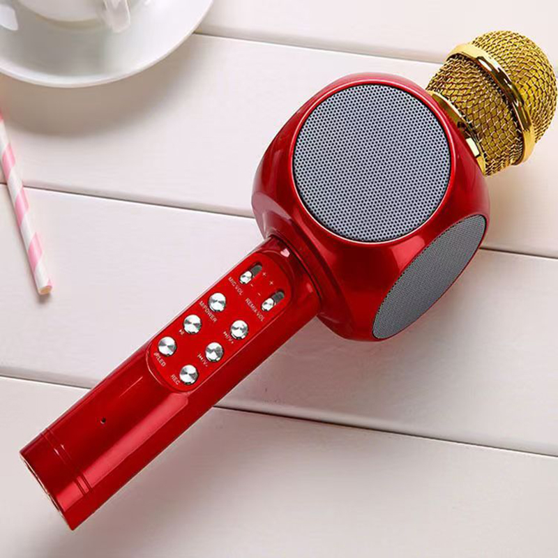 WS1816 Wireless Children Karao - Kids Microphone Karaoke review and price