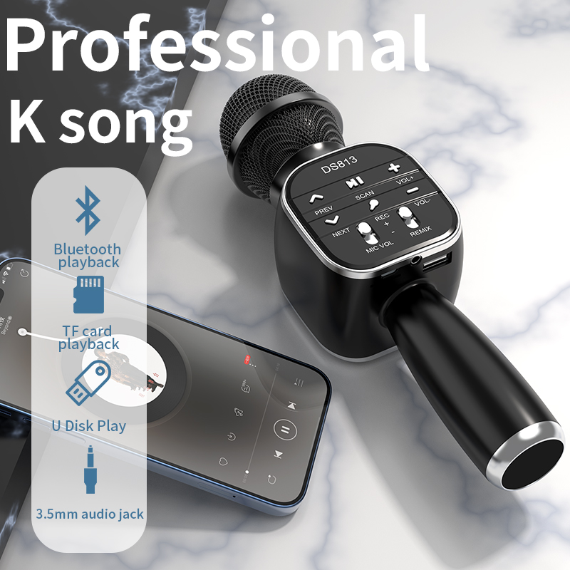 DS813 Wireless Bluetooth Karao - Kids Microphone Karaoke review and price