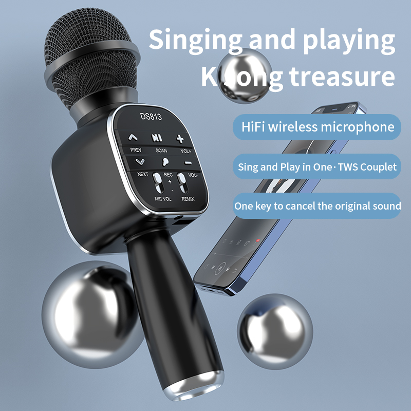 DS813 Wireless Bluetooth Karao - Kids Microphone Karaoke review and price