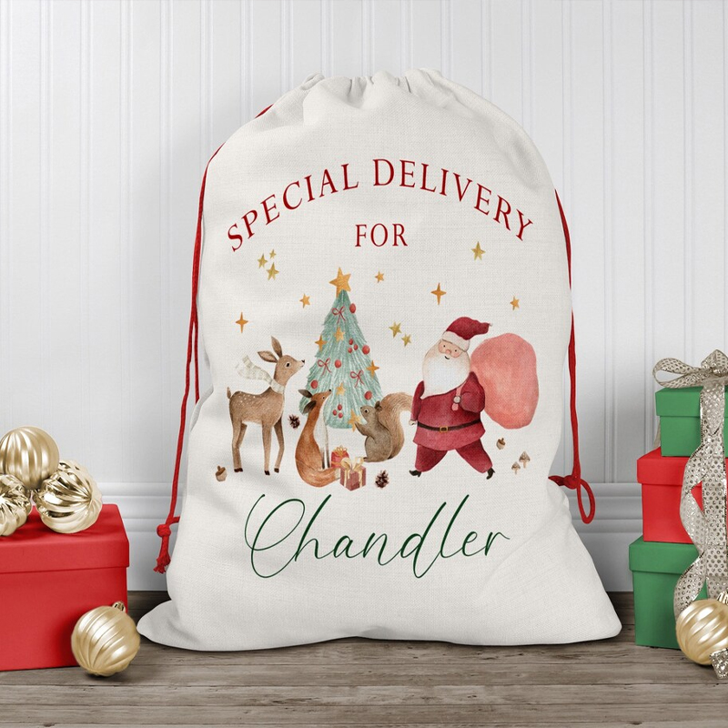 Personalised Name Christmas Dr - Kids Toys Names review and price