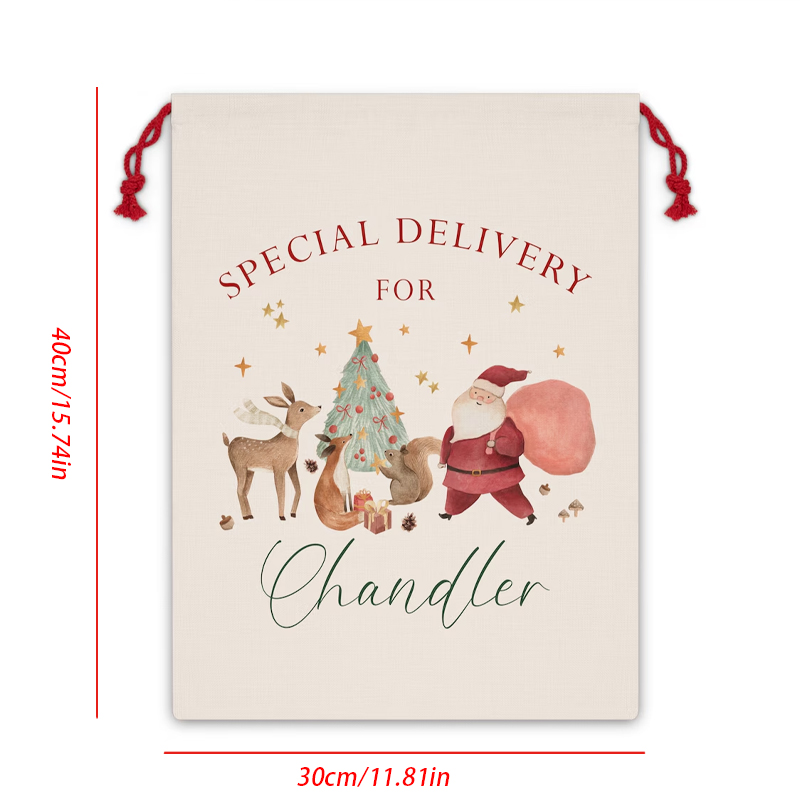 Personalised Name Christmas Dr - Kids Toys Names review and price