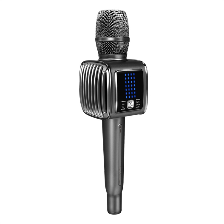 Tosing G6 PRO Sing Karaoke  Wi - Kids Microphone Karaoke review and price