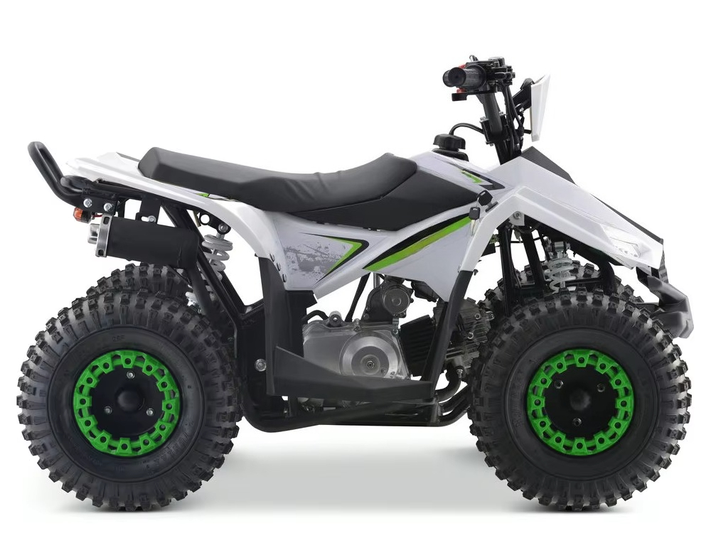 110cc Gas Powered Kids ATV 4 W - Kids Toys Quad review and price