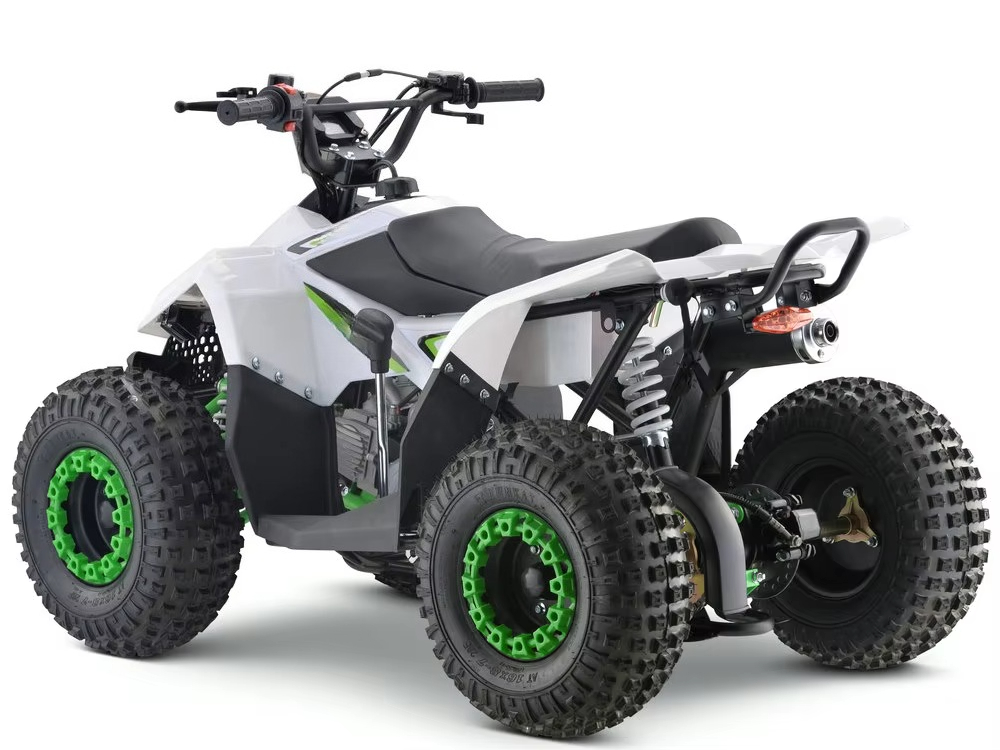 110cc Gas Powered Kids ATV 4 W - Kids Toys Quad review and price